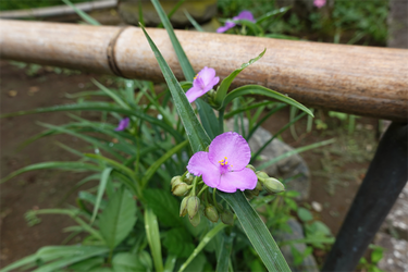 DSC09088_R
