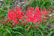 DSCF5369_R