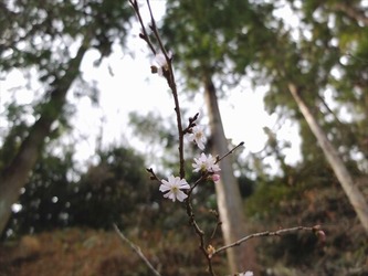 DSCF7761_R
