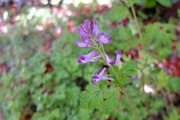DSCF0531_R