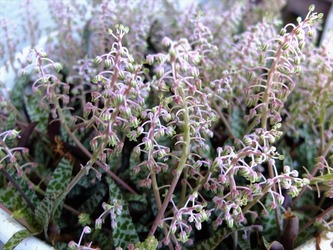 DSCF0097_R