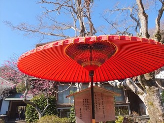 DSCF8420_R