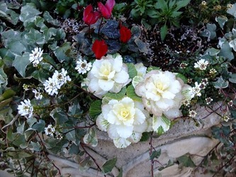 DSCF8328_R