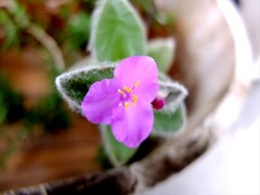 DSCF9721_R