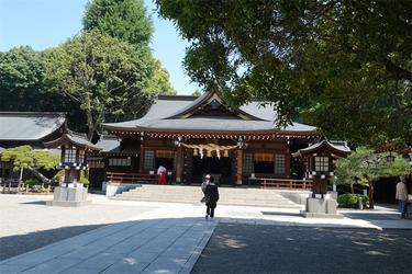 DSC07863_R