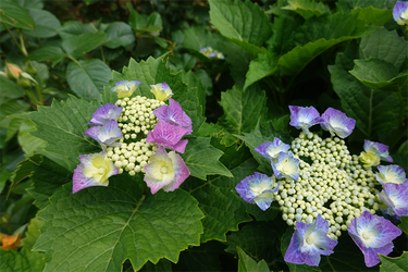 DSC08126_R