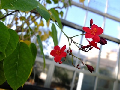 DSCF6517_R