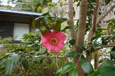 DSC05730_R