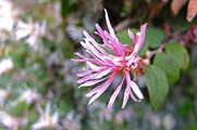 DSCF1833_R