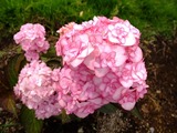 DSCF2325_R