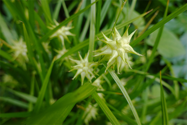 DSC07444_R