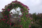 DSCF2210_R