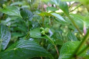 DSCF2870_R