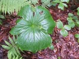 DSCF0849_R