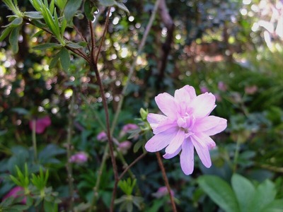 DSCF4881_R