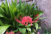 DSCF5771_R
