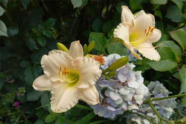 DSC08440_R