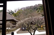 DSCF1163_R