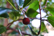 DSCF9514_R