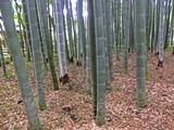 DSCF2639_R