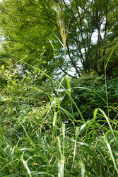 DSC09148_R