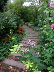 DSCF6113_R