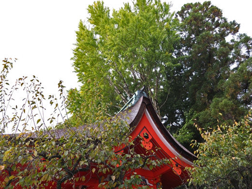 DSCF4742_R
