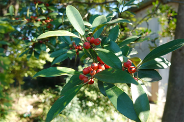 DSC03428_R