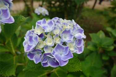 DSC08159_R