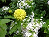 DSCF2777_R
