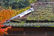 DSCF7418_R