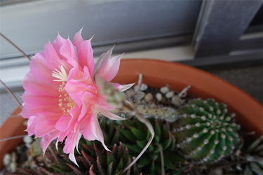 DSC08259_R