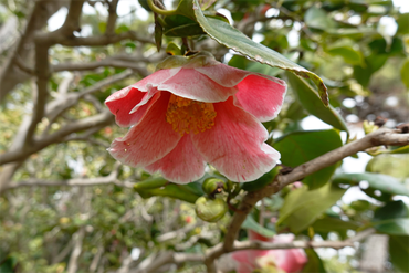 DSC06056_R