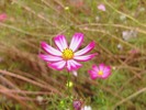 DSCF5160_R