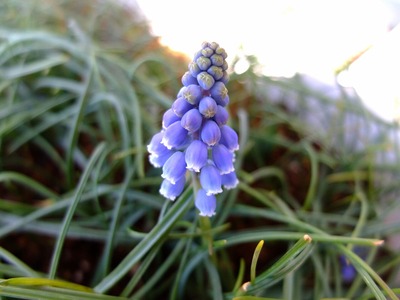 DSCF4683