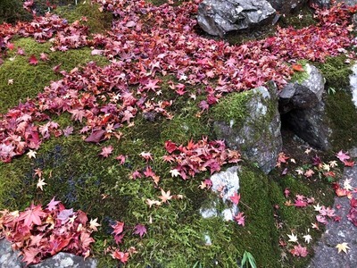 DSCF0039_R