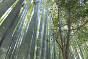 DSCF0576_R