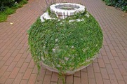 DSCF5832_R