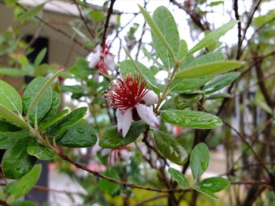 DSCF6178_R
