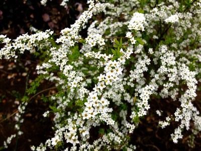 DSCF7493_R