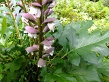 DSCF2331_R