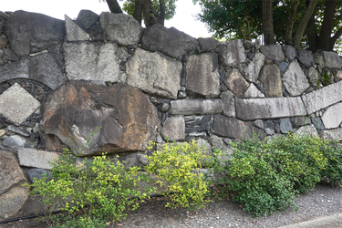 DSC09929_R