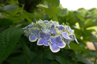 DSC08086_R
