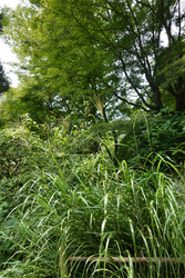 DSC09147_R