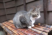 DSCF3906_R