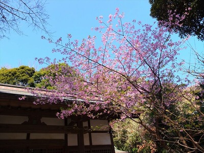 DSCF1014_R