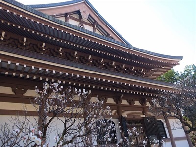 DSCF1025_R