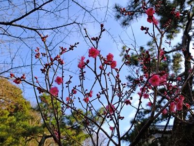 DSCF5388_R