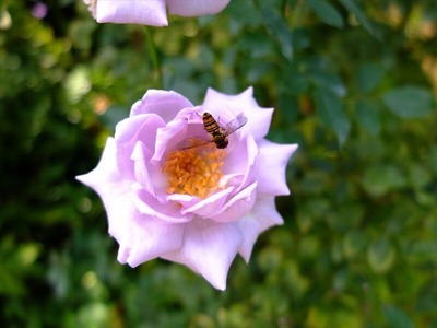 DSCF9317_R