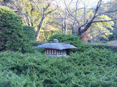 DSCF9535_R